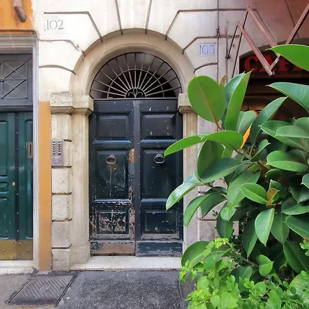 Diana Studio *